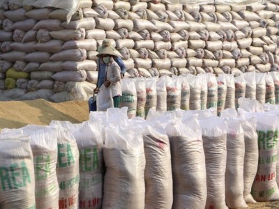 Kiểm soát chặt chẽ mặt hàng gạo, chống gian lận xuất xứ